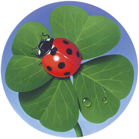 Georg Erhardt - Illustration Göückwunschkarte