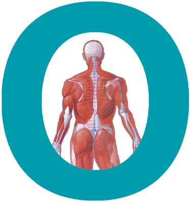 Georg Erhardt - Signet Osteopatie-Forum München